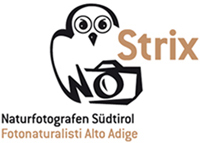Strix – Naturfotografen Südtirol